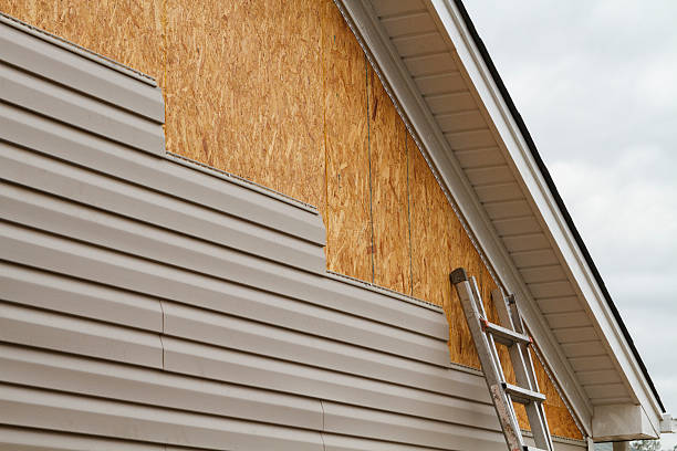 Best Vinyl Siding Installation  in Caledonia, MS